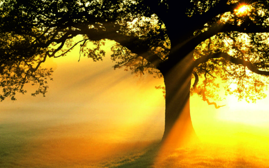 Keep it simple as Sunshine